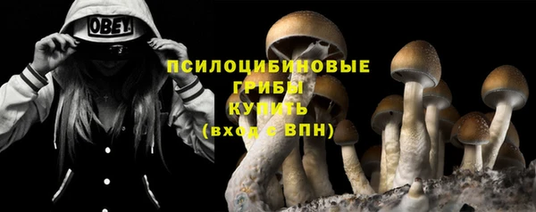 мефедрон Новодвинск