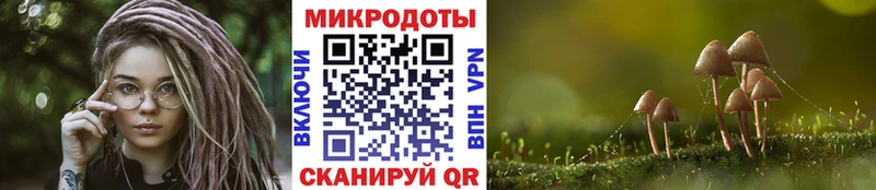 Купить где  Муром  Псилоцибиновые грибы GOLDEN TEACHER 
